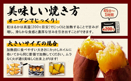 訳あり紅はるか サツマイモ 10kg 《2026年1月上旬-5月末頃出荷予定》紅はるか さつまいも 熊本県 大津町 イモ 芋 さつまいも 訳あり