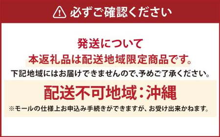 ファーファ柔軟剤 ストーリーしあわせの花束4,500ml×2個 洗濯 日用品 部屋干し 抗菌 48時間抗菌 静電気防止 赤ちゃん 超特大 防臭 花粉対策