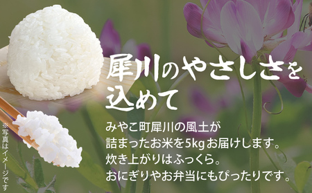 米 5kg 元気つくし 数量限定 こだわりの蓮華米 農家直送 白米 国産 おにぎり お弁当 福岡 九州 グルメ お取り寄せ