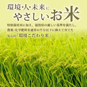 みずかがみ 5kg 定期便 3ヶ月 令和8年産 米 白米 みずかがみ 滋賀県