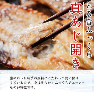 ＜定期便・全4回＞ギフト用品質！九州産 ひもの 季節の 定期便 (総計35枚) 定期 干物 鯛 かます さば サバ あじ アジ 開き 魚 海鮮 冷凍 ひもの 小分け 惣菜 おかず セット ギフト 贈り物 大分県 佐伯市【DH301】【ネクサ】