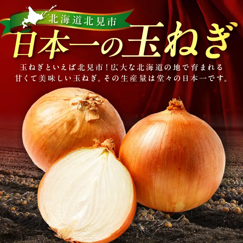 北見市産玉ねぎ使用 味付けハラミ 醤油タレ 300g×3個 ( 肉 牛肉 たまねぎ タマネギ 焼肉 )【224-0040】