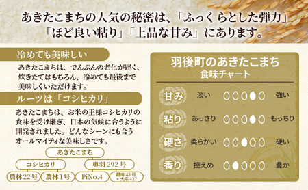 ［令和7年産］定期便 秋田県産 あきたこまち 5kg×1袋 全6回 毎月お届け 羽後町産 [藤原商店]【 米 お米 白米 精米 あきたこまち アキタコマチ 定期 定期便 美味しい 秋田 羽後 】