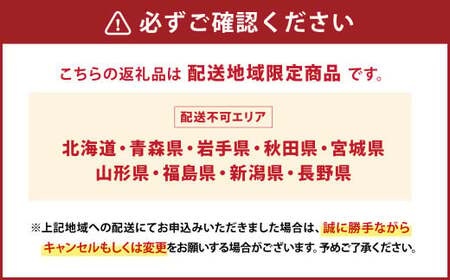 ミディ 胡蝶蘭 KouBou 大地 2本立ち 1個 花 お花 植物 蘭 洋蘭 ラン インテリア  アレンジ アレンジメント 鑑賞 観賞用 贈答用