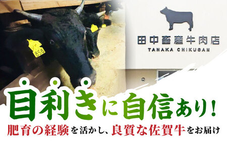 【2度の農林水産大臣賞】 佐賀牛 焼肉 盛り合わせ 500g（霜降り・赤身 各250g）【田中畜産牛肉店】 黒毛和牛 バーベキュー BBQ[HBH160]