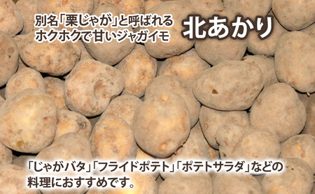 【2026年秋冬発送】甘くてホクホク！じゃがいも きたあかり 約10kg 野菜 新鮮 いも 芋 