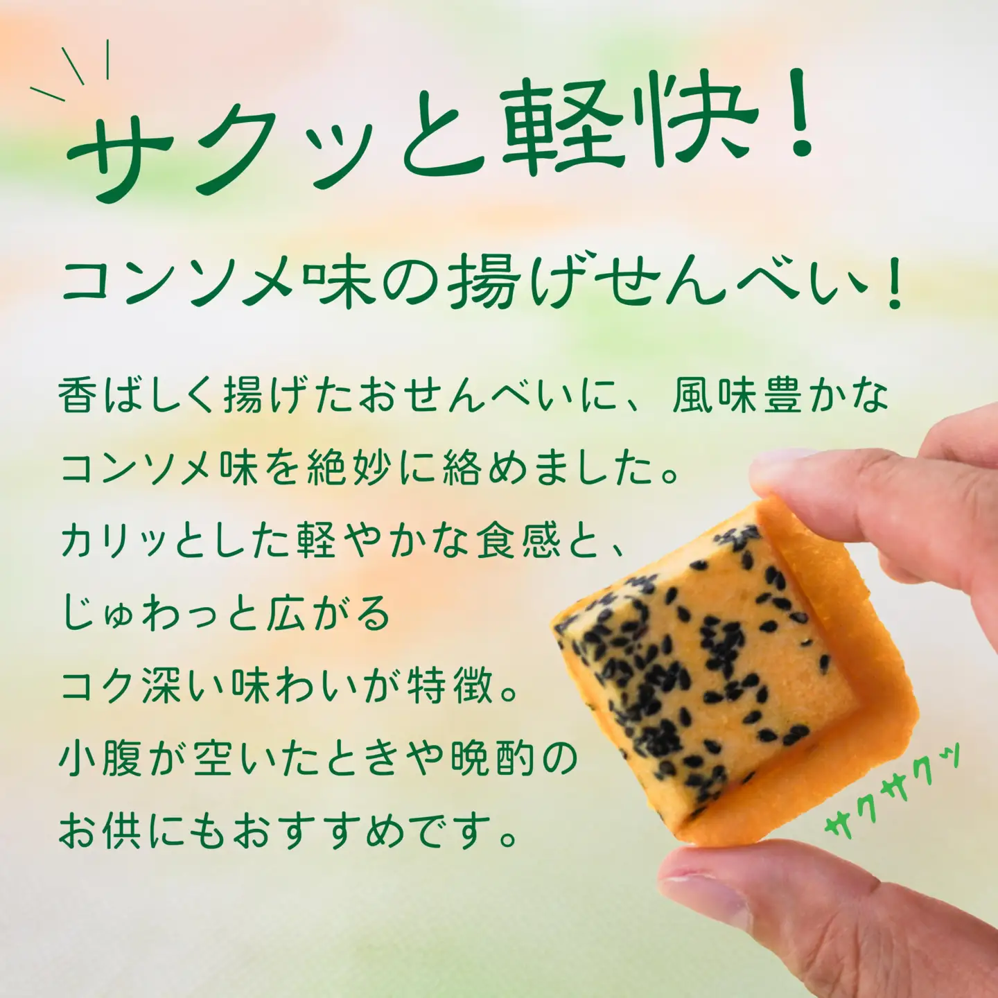 【マルサカ煎餅】 南部煎餅 コンソメ味 一口揚 1袋 青森県 八戸市