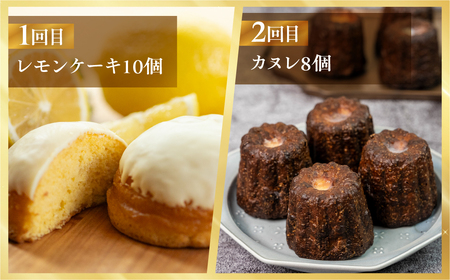 《定期便》スイーツ 定期便 全5回 お届け 食べ比べ デザート [mt1893] みかん 大福 家庭用 のため 訳あり カヌレ ロールケーキ ケーキ アイス バニラ 洋菓子 おやつ フルーツ レモン 果物 お菓子 お取り寄せ 送料無料 人気 おすすめ 冷凍 常温 5万円 50000円