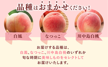 先行受付!　旬の桃　(特秀品)食べきりやすい3個入り | 桃