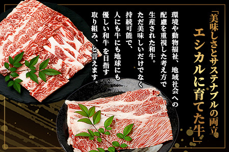 【エシカル和牛】くまもとあか牛【あか牛の極み】 肩ロース＆バラセット 400g ロース バラ 熊本 あか牛 牛肉 すき焼き しゃぶしゃぶ 赤身 和牛 国産 SDGs 033-0510