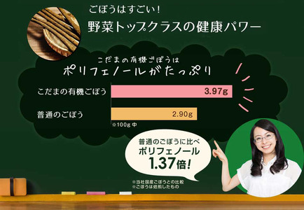 有機 高原のごぼう茶 ゴボウ茶 牛蒡 お茶 ティーバッグ ヘルシー 毎日習慣 健康食品 世羅 A047-04