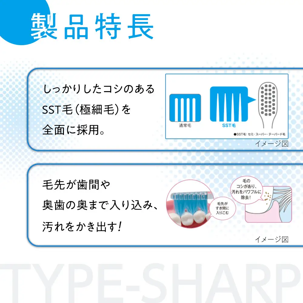 【定期便 毎月 3か月】LION ハミガキセット ｜ 日用品 ふるさと納税 歯磨き粉 歯磨き粉