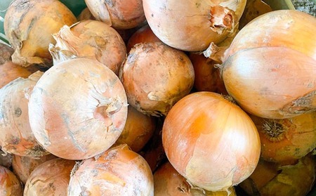 【先行予約！】あわじ島完熟たまねぎ 3kg　◆配送６月～12月下旬