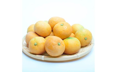 厳選 ハウスみかん5kg+250g（傷み補償分）
