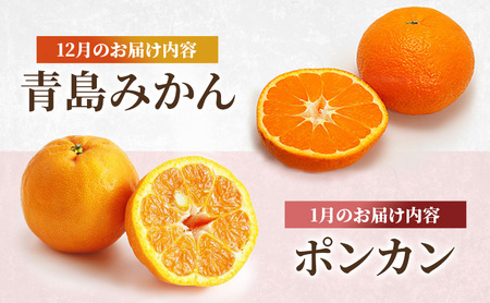 みかん 河津町旬のみかんセット ミカン セット 旬の果物 フルーツ 果実 ニューサマーオレンジ 甘夏 不知火 早生ミカン はるみ ポンカン 河津町 静岡県