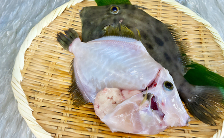 天然 活じめ 本カワハギ 3～6尾 1kg セット 詰め合わせ 淡路島由良産 下処理済み カワハギ 魚 鮮魚 魚介 魚介類 海鮮 海鮮セット 冷蔵 洲本市　お届け：2026年9月初旬～2027年1月下旬