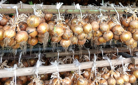 ふれあい市の会 つり玉ねぎ 5kg 玉ねぎ 野菜 旬の野菜 旬 甘い 淡路島 洲本市　お届け：2026年６月下旬～2026年11月中旬