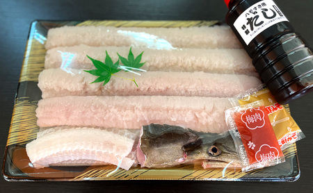 ハモの本場 淡路島産 極上 鱧 約5人前 はも 鱧鍋 湯引き 魚 魚介 魚介類 海鮮 海鮮セット セット 淡路島 洲本市　お届け：5月中旬～11月下旬