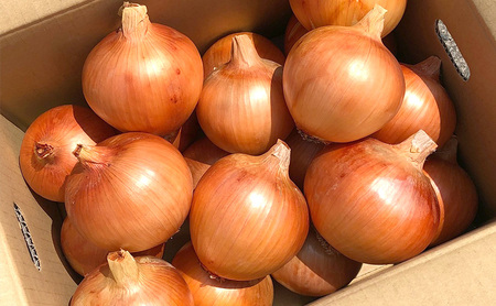 玉ねぎ 淡路島産 5kg みやざきファーム 甘い 玉ねぎ