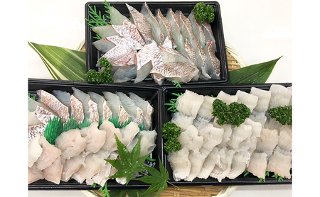 数量限定 淡路島産 鱧と鯛のしゃぶしゃぶ セット 鱧 はも 鯛 タイ 魚 魚介 魚介類 しゃぶしゃぶ 鯛しゃぶ 鱧しゃぶ 淡路島 洲本市　お届け：2026年9月下旬～2026年10月末まで