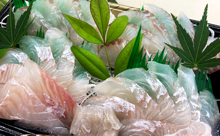 天然 ヒラメ 造り ショウサイフグ 鍋用 切り身 各3人前 セット 詰め合わせ 刺身 魚切り身 フグ フグ鍋 魚 魚介 魚介類 海鮮 海鮮セット 淡路島 洲本市 お届け：2027年1月下旬～2027年3月上旬まで