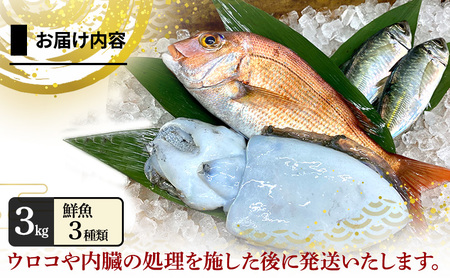 淡路島 由良港 朝獲れ 鮮魚 3種類 3kg 4人前 プレミアム 詰め合わせ セット 鮮魚ボックス 魚セット 魚 魚介 海鮮 海の幸 おかず 惣菜 おつまみ つまみ 酒の肴 洲本市
