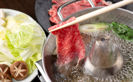神戸ビーフ しゃぶしゃぶ用 スライス 500g 肉 牛肉 和牛 神戸牛 国産 霜降り しゃぶしゃぶ 兵庫県 洲本市 淡路島
