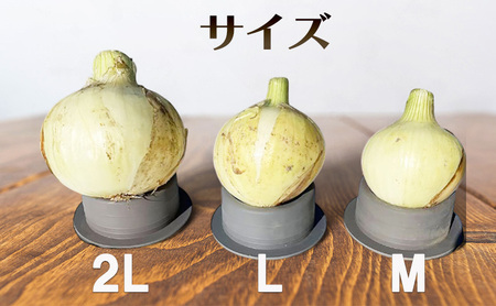 淡路島産 新玉ねぎ 3kg × 2箱 うしろ農園 極早生 玉ねぎ 玉葱 タマネギ 甘い 野菜 兵庫県 洲本市 淡路島