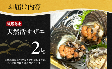 天然 活サザエ 2kg サザエ さざえ 貝 貝類 魚介 魚介類 海鮮 海鮮セット 刺身 お刺身 つぼ焼き 淡路島 洲本市　お届け：6月上旬～3月上旬
