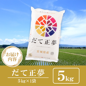 【令和7年産】宮城県産 だて正夢 5kg お米 おこめ 米 コメ 白米 ご飯 ごはん 伊達 だてまさゆめ おにぎり お弁当 ブランド米 5kg【株式会社パールライス宮城】ta355
