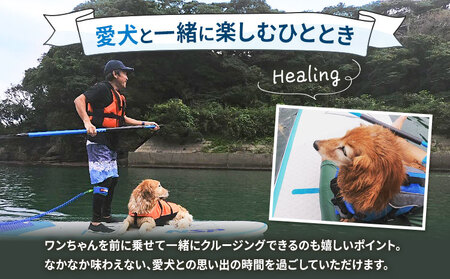 初心者向けSUP体験ツアー 1名様＋愛犬1匹 4-6月 GO4SURF《30日以内に出荷予定(土日祝除く)》千葉県 勝浦市 マリンアクティビティ体験 マリンスポーツ 海 SUP サップ 愛犬 わんちゃん 初心者向け 初心者 体験 6歳から可能