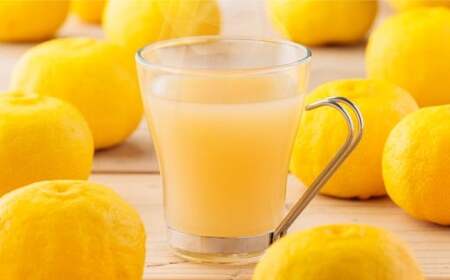 【ギフト包装対応】 Craft GingerY（ゆず） 200ml×2 計400ml 無添加 国産 ピリリと生姜にゆず香る ジンジャーシロップ