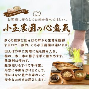 【令和7年度産】ゆめぴりか 玄米 5kg【小玉農園】【CF-005】