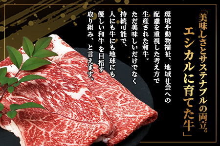 【エシカル和牛】くまもとあか牛【あか牛の極み】カタ薄切り 200g×3 (計 600g) 肩 ロース 小分け 熊本 あか牛 牛肉 赤身 すき焼き しゃぶしゃぶ 焼肉 和牛 国産 SDGs 033-0511