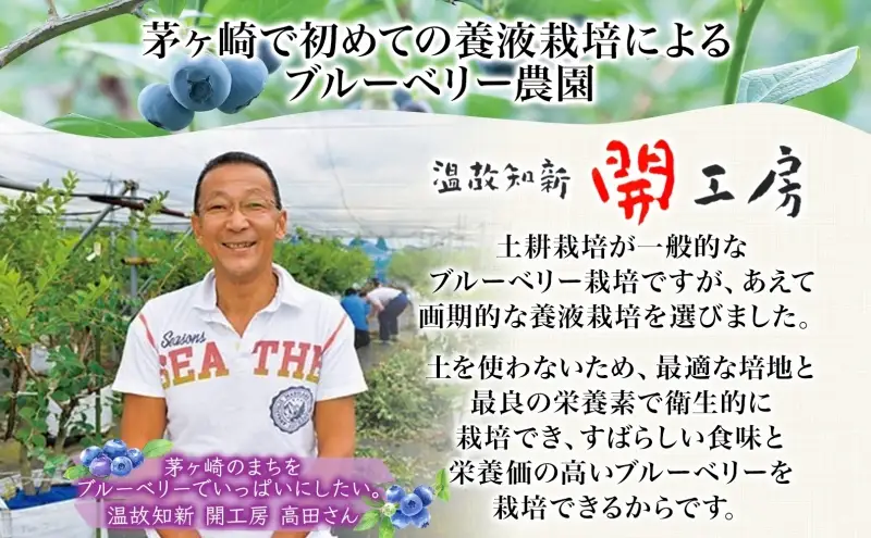ブルーベリー農園 摘み取り券 収穫 太陽 養液栽培 美味 育つ ジャム バター 地場産  新鮮 卵 スプレッド 濃厚 風味 温故知新 開工房 農園 果実 摘み取り 完熟 農園 あっさり 食パン 採れたて朝食 送料無料 神奈川県 茅ヶ崎市