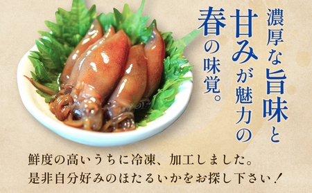 ほたるいか三昧 ホタルイカ イカ 漬け 素干し 富山県 氷見市 　ホタルイカ