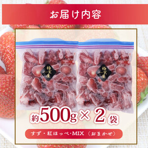 冷凍いちご 1000g いちご 冷凍いちご 【極実屋】