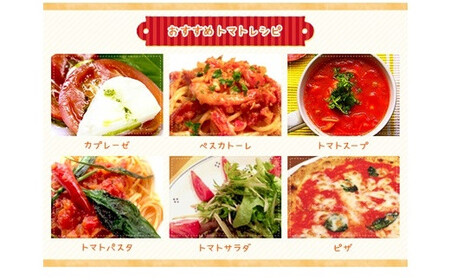 ＜早期予約・数量限定＞北海道ニセコ町 贅沢トマト4kg【2026年産】【32005】