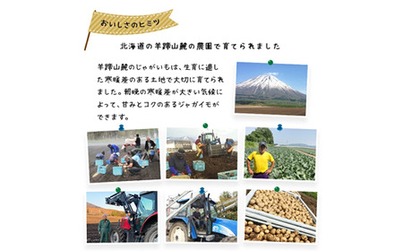 〈早期予約・数量限定〉北海道ニセコ町 訳ありじゃがいも男爵10kg【2026年産】【3201002】
