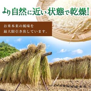 【7日以内発送】令和7年度 米 にじのきらめき 5kg ※2025年10月中旬～順次発送（着日指定不可）【jahd010】 