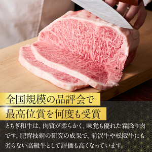 とちぎ和牛 ローストビーフ 200g  ｜ 牛肉 和牛  肉 ブランド牛 高級 ローストビーフ 栃木県共通返礼品