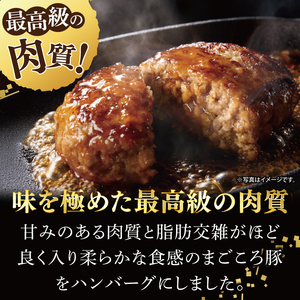 【茨城県共通返礼品】国産まごころ豚ハンバーグ100g×10個【高品質 豚肉 銘柄豚 ブランド豚 人気豚肉 個包装 冷凍 茨城県産 阿見町】(92-01)