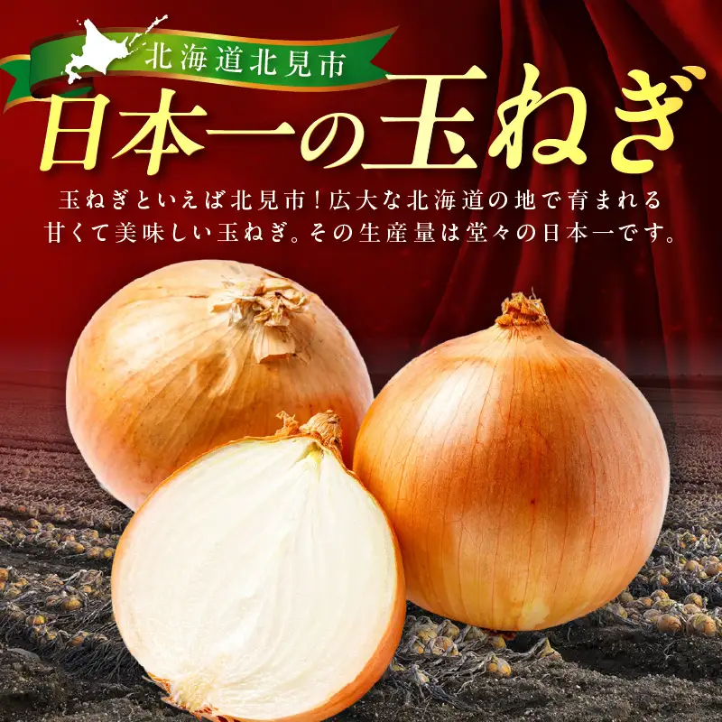 北見市産玉ねぎ使用 玉ねぎハンバーグ 150g×10個 ( 肉 加工品 たまねぎ タマネギ 焼肉 小分け )【224-0011】