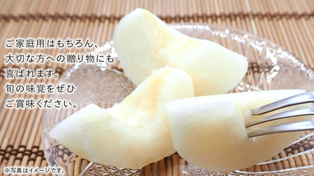 豊水 梨 5kg （8～12玉）【2026年9月より発送開始】（茨城県共通返礼品 [梨]：大子町産）