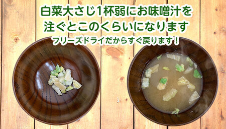 フリーズドライ白菜7g×5袋セット 国産 乾燥野菜 非常食 備蓄 みそ汁 スープ キャンプ アウトドア 時短 世羅 A047-22