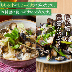 漁師直送！宍道湖産ヤマトシジミ・食べ比べ3.6kg（Lサイズ2kg＋Mサイズ1.6kg）