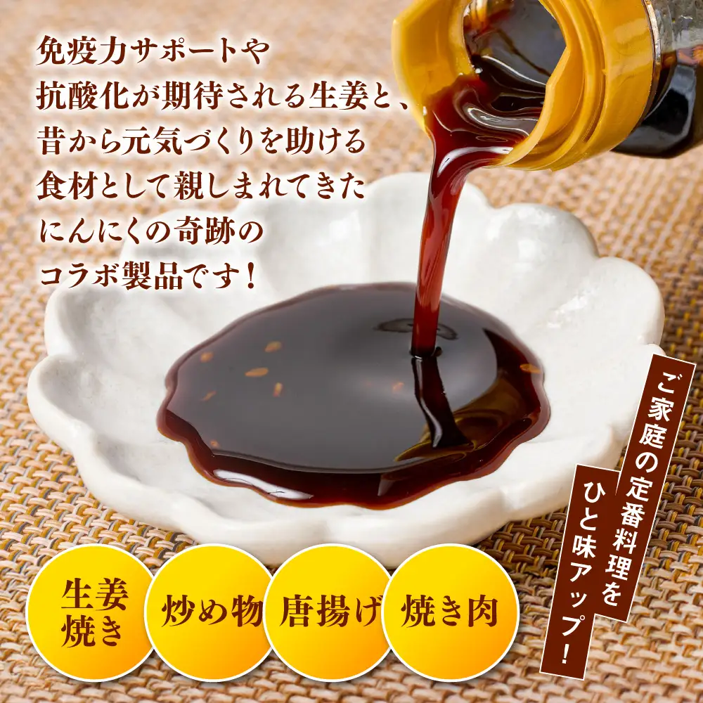 生姜焼きのたれ 2本セット しょうが 生姜 ショウガ ジンジャー 豚肉 おかず 料理 夕飯 夕食 晩ごはん 味付 調味料 たれ タレ お弁当 生姜焼き しょうが焼き 炒め物 焼肉のタレ 熊本 八代