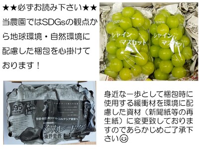 世羅産シャインマスカット 約900g(2～3房)【先行予約・数量限定】カナダ人農園主 ぶどう ブドウ マスカット フルーツ 果物 くだもの 産地直送 世羅 ラピアビンヤード【2026年9月下旬以降順次発送】 A021-03