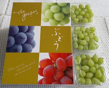 世羅産シャインマスカット粒パック 約900g(3パック)【先行予約・数量限定】カナダ人農園主 ぶどう ブドウ マスカット フルーツ 果物 くだもの 産地直送 世羅 ラピアビンヤード【2026年9月下旬以降順次発送】 A021-10　
