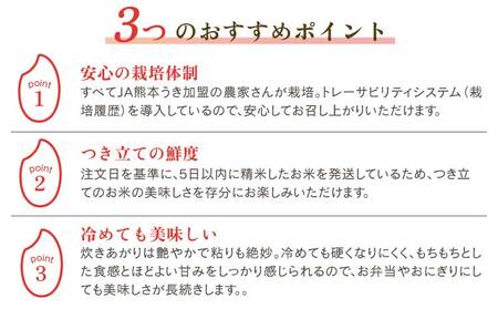 令和7年産 精米 新米 森のくまさん 5kg 【2025年11月上旬から発送予定】 JA熊本うき